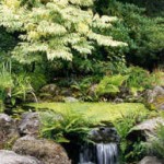 Waterfall Pond 2