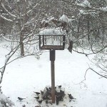 birdfeeder in snow