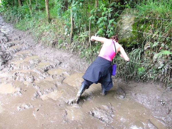 This is a bit too muddy.