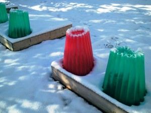 Wall-o-waters in snow