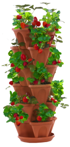 Strawberry Planter