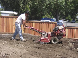 Tiller- Lawn Soil Prep