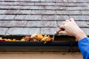 Clean Rain Gutters