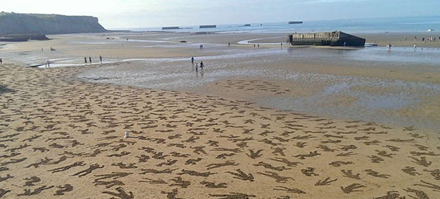 9,000 soldiers stenciled on Normandy beach to commemorate the fallen of D-Day