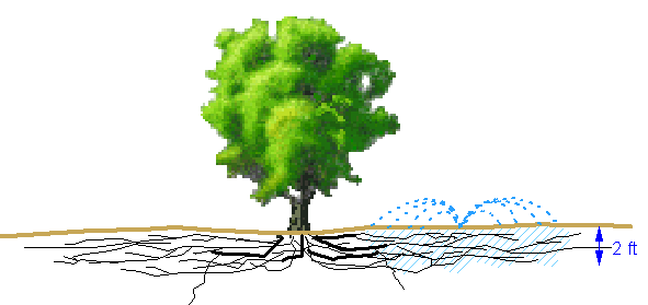 Watering Trees Deeply