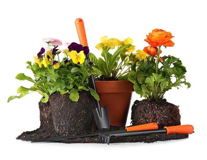PottingPlants