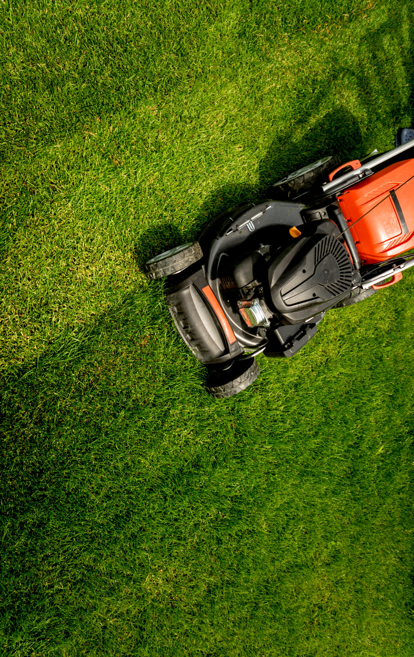 Lawn mower on green grass. Summer garden