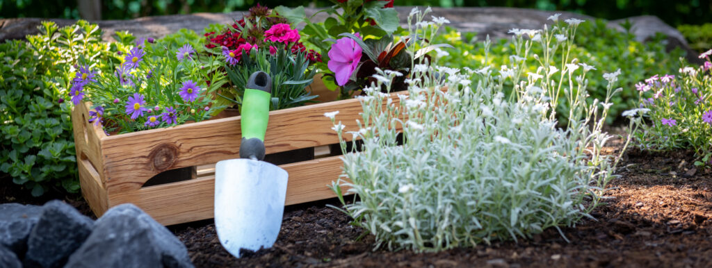 town-country-gardens-spring-flowers-garden-bed Beautiful spring flowers and gardening supplies ready for planting at Town & Country Gardens