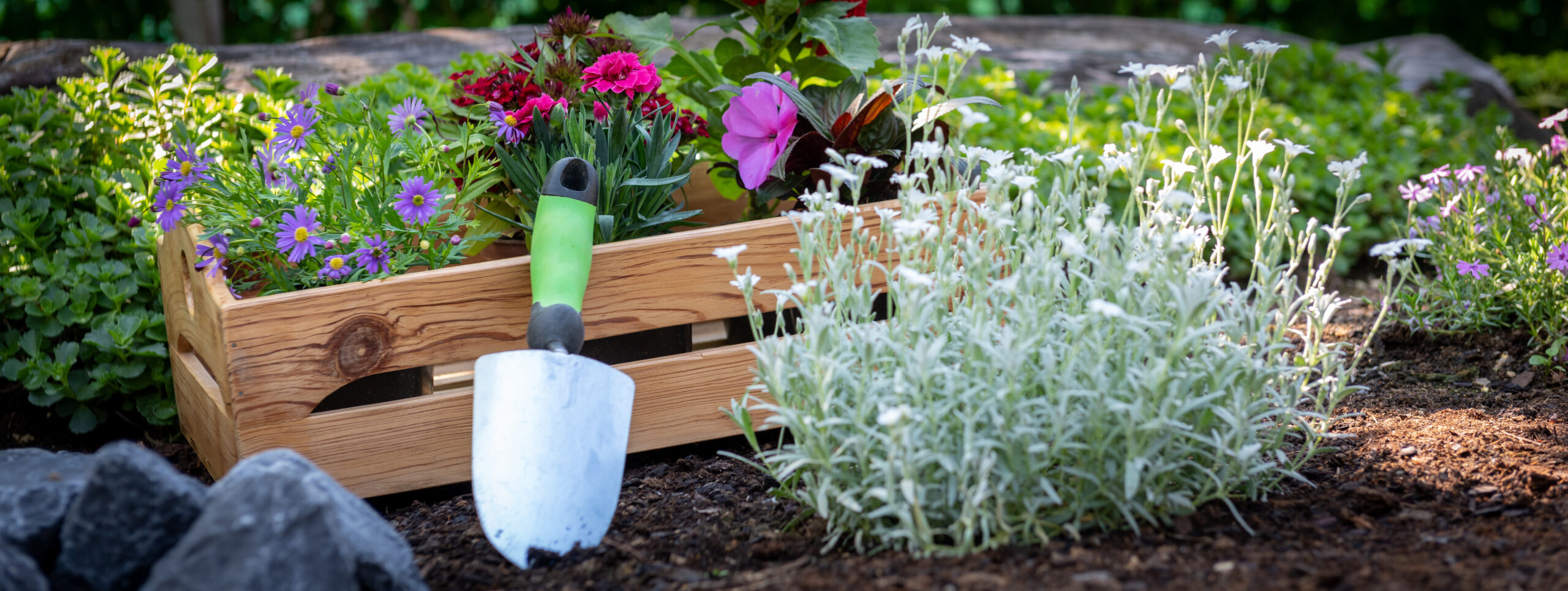 Beautiful spring flowers and gardening supplies ready for planting at Town & Country Gardens